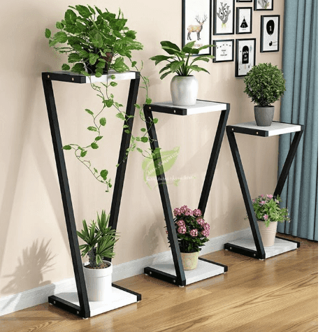 3pcs Plant home display