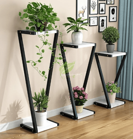3pcs Plant home display