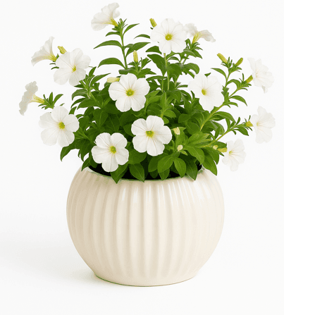 Bowl dish flower vase