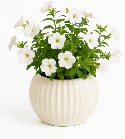 Bowl dish flower vase