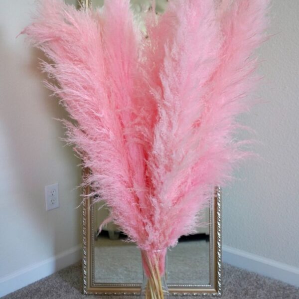 1stem Faux  Pampas Grass